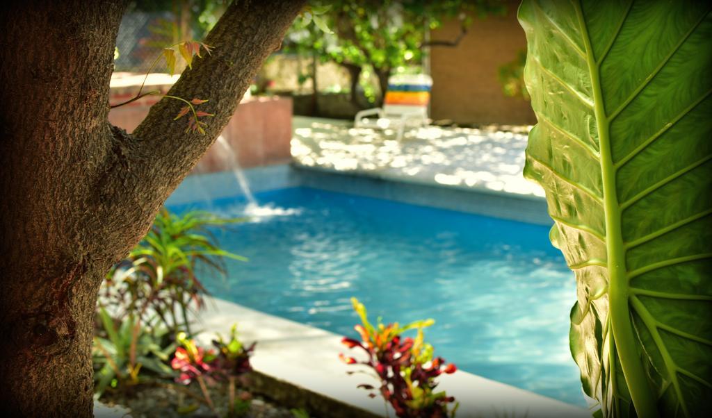 Suites La Flor Sagrada Xochitepec Kültér fotó
